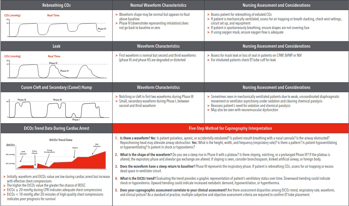 etc0<sub>2</sub> - wave form capnography2